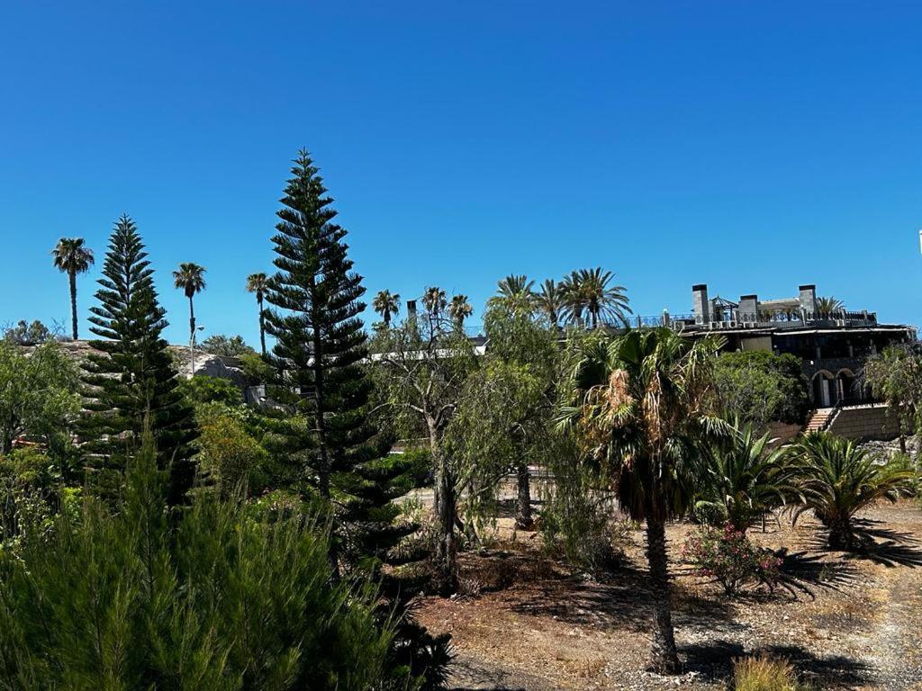 Villa Natali ,Luxury 3-Levels Large Villa On Tenerife, Ocean View, Private Poo L& Barbecue Area Costa Adeje  Bagian luar foto